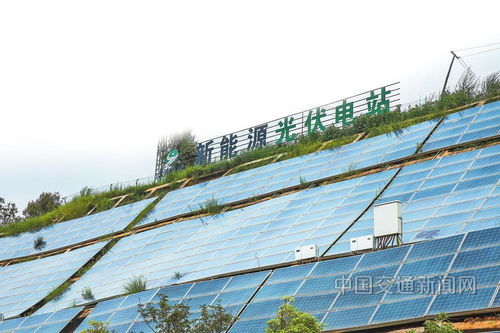 云南交投集團(tuán) 以新質(zhì)生產(chǎn)力賦能綠美通道經(jīng)濟(jì)，推動種植技術(shù)開發(fā)創(chuàng)新