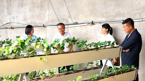 科技興農(nóng)繪藍(lán)圖 縣委書記楊家佳深入調(diào)研，擘畫鄉(xiāng)村產(chǎn)業(yè)振興新路徑