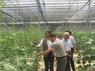 袁文先將軍深入三明調研，為扶貧改革與種植技術發展注入新動能