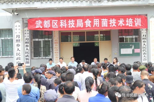 科技賦能農(nóng)業(yè)，武都區(qū)科技局在月照鄉(xiāng)舉辦食用菌栽培技術(shù)培訓(xùn)會助力鄉(xiāng)村振興