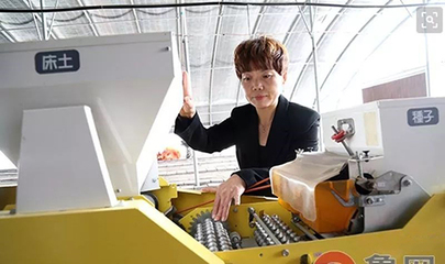 胡紀(jì)芹 根植沃土，以技術(shù)綻放致富夢想