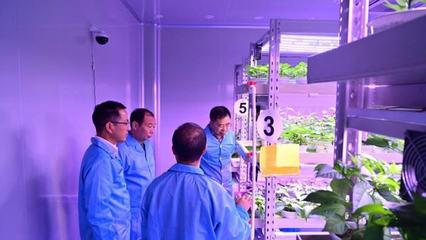 老洪劃重點 植物工廠——種植技術(shù)開發(fā)帶來的未來農(nóng)業(yè)革命